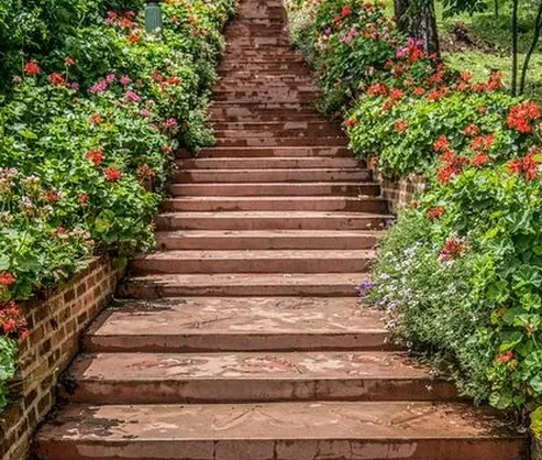 גרם מדרגות עם צמחיה בצדדים